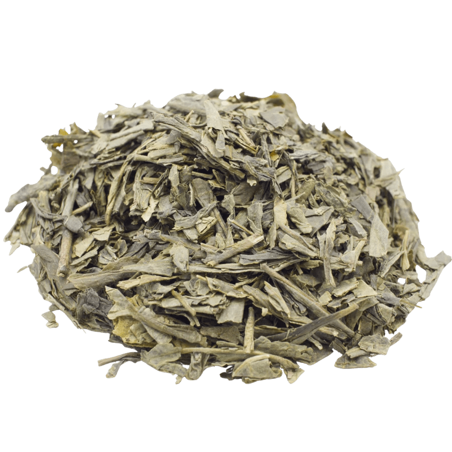 Sencha